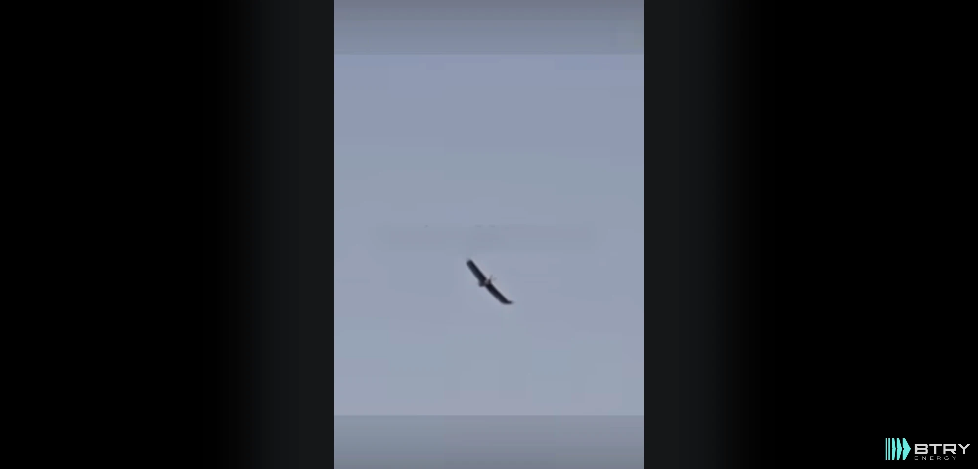 A drone that looks like a bird